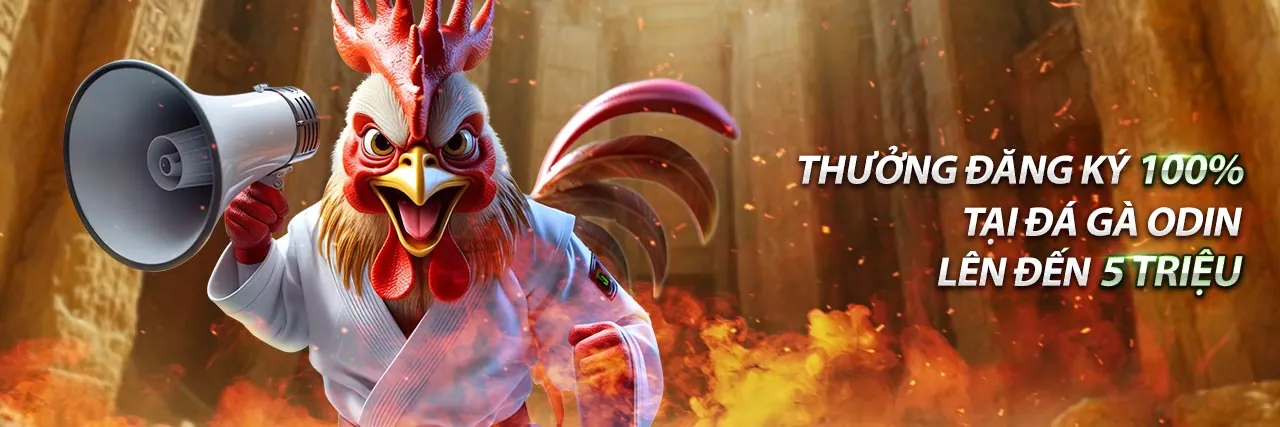 Sảnh Thể Thao Suncity với sân vận động rực rỡ và hành động cá cược sôi động