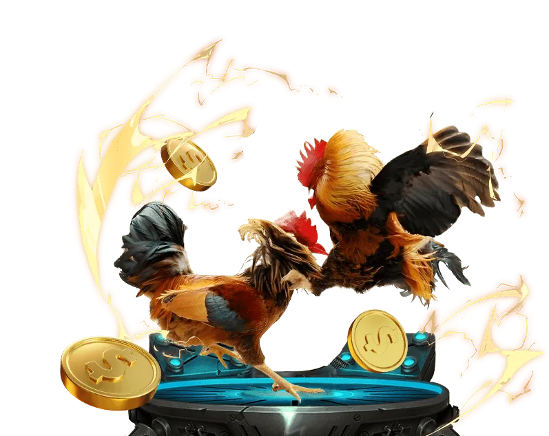 Hướng dẫn cá cược thể thao Suncity